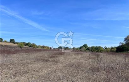 YALOVA ALTINOVA FEVZİYE KÖYÜ KADASTRO YOL CEPHELİ SATILIK TARLA