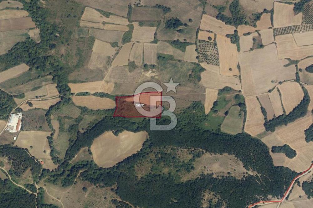 YALOVA ALTINOVA FEVZİYE KÖYÜ KADASTRO YOL CEPHELİ SATILIK TARLA