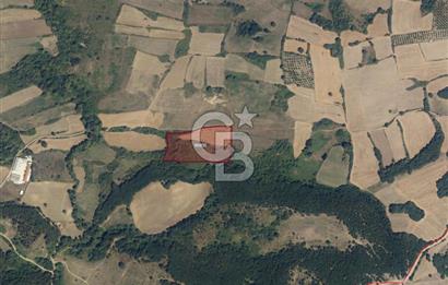 YALOVA ALTINOVA FEVZİYE KÖYÜ KADASTRO YOL CEPHELİ SATILIK TARLA