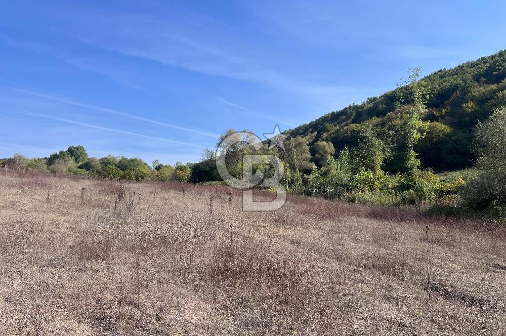 YALOVA ALTINOVA FEVZİYE KÖYÜ KADASTRO YOL CEPHELİ SATILIK TARLA