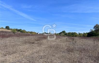 YALOVA ALTINOVA FEVZİYE KÖYÜ KADASTRO YOL CEPHELİ SATILIK TARLA