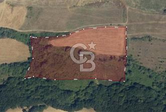 YALOVA ALTINOVA FEVZİYE KÖYÜ KADASTRO YOL CEPHELİ SATILIK TARLA - 5 - 311993