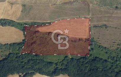 YALOVA ALTINOVA FEVZİYE KÖYÜ KADASTRO YOL CEPHELİ SATILIK TARLA