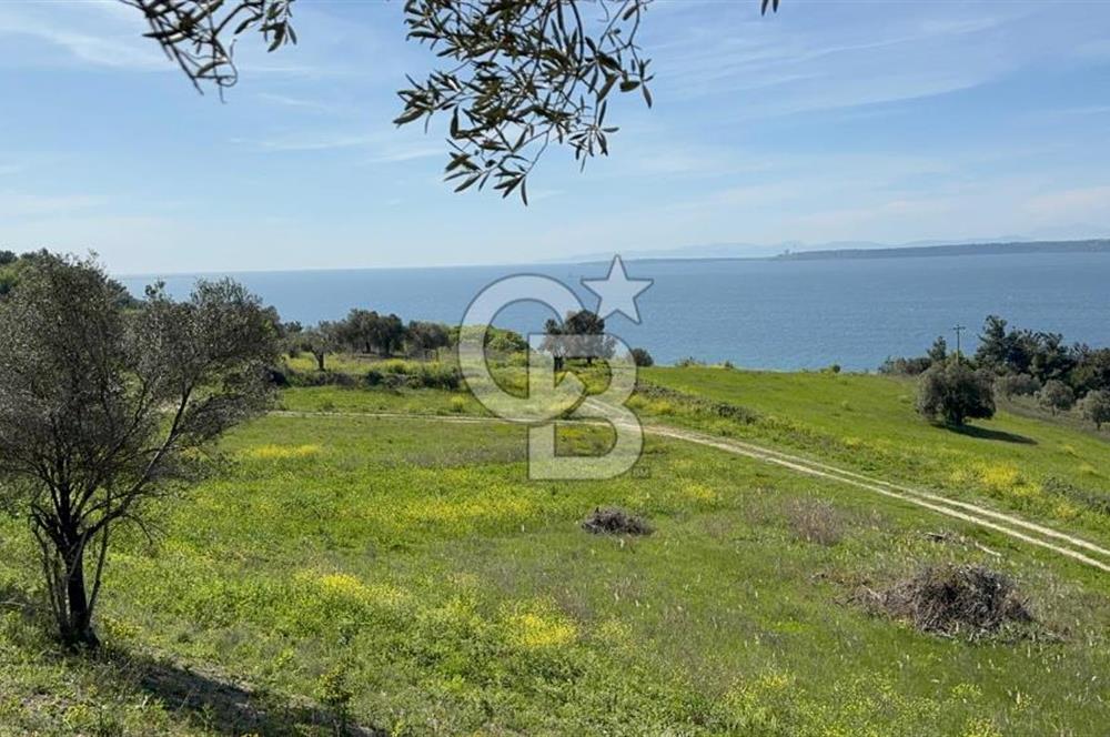 İNTEPE SAHİL MEVKİİNDE MUHTEŞEM KONUMDA PANAROMİK BOĞAZ MANZARALI VİLLA İMARLI 760 m2 ARSA