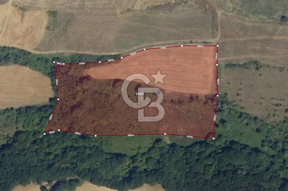 YALOVA ALTINOVA FEVZİYE KÖYÜ KADASTRO YOL CEPHELİ SATILIK TARLA