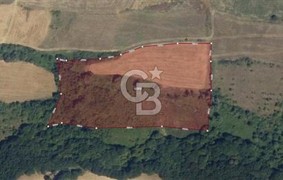 YALOVA ALTINOVA FEVZİYE KÖYÜ KADASTRO YOL CEPHELİ SATILIK TARLA