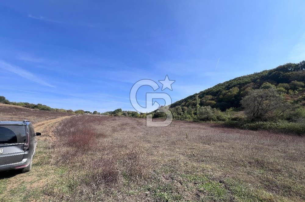 YALOVA ALTINOVA FEVZİYE KÖYÜ KADASTRO YOL CEPHELİ SATILIK TARLA