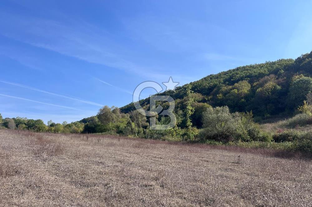 YALOVA ALTINOVA FEVZİYE KÖYÜ KADASTRO YOL CEPHELİ SATILIK TARLA