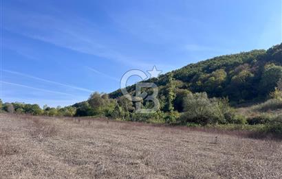 YALOVA ALTINOVA FEVZİYE KÖYÜ KADASTRO YOL CEPHELİ SATILIK TARLA