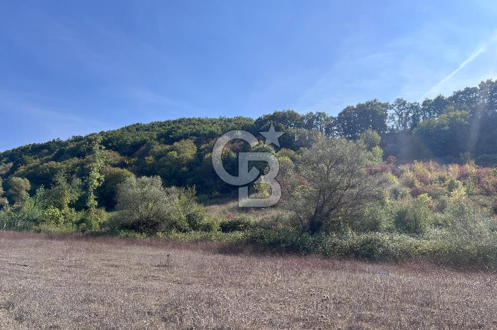 YALOVA ALTINOVA FEVZİYE KÖYÜ KADASTRO YOL CEPHELİ SATILIK TARLA