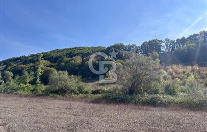 YALOVA ALTINOVA FEVZİYE KÖYÜ KADASTRO YOL CEPHELİ SATILIK TARLA