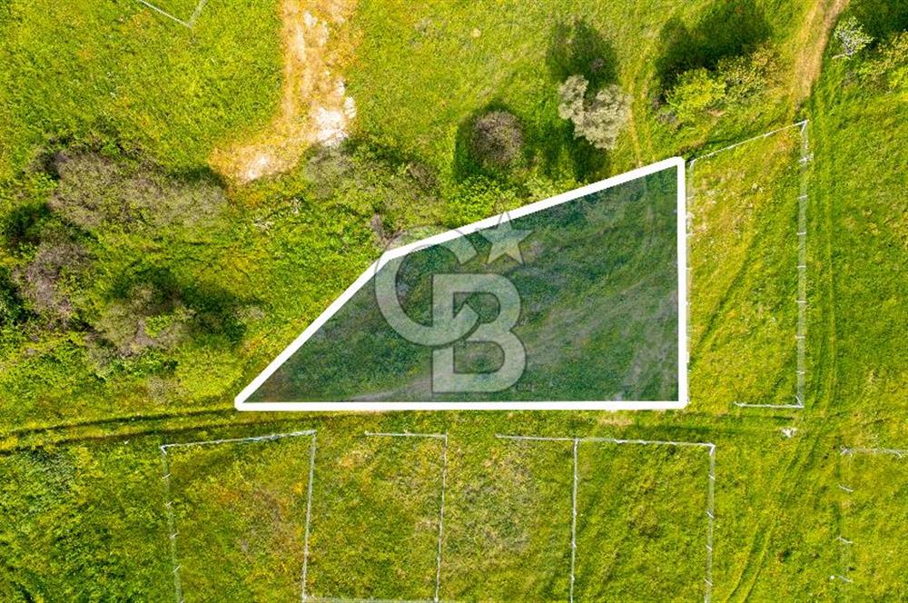 Foça Yenibağarası'nda Satılık 644 m2 Tarla