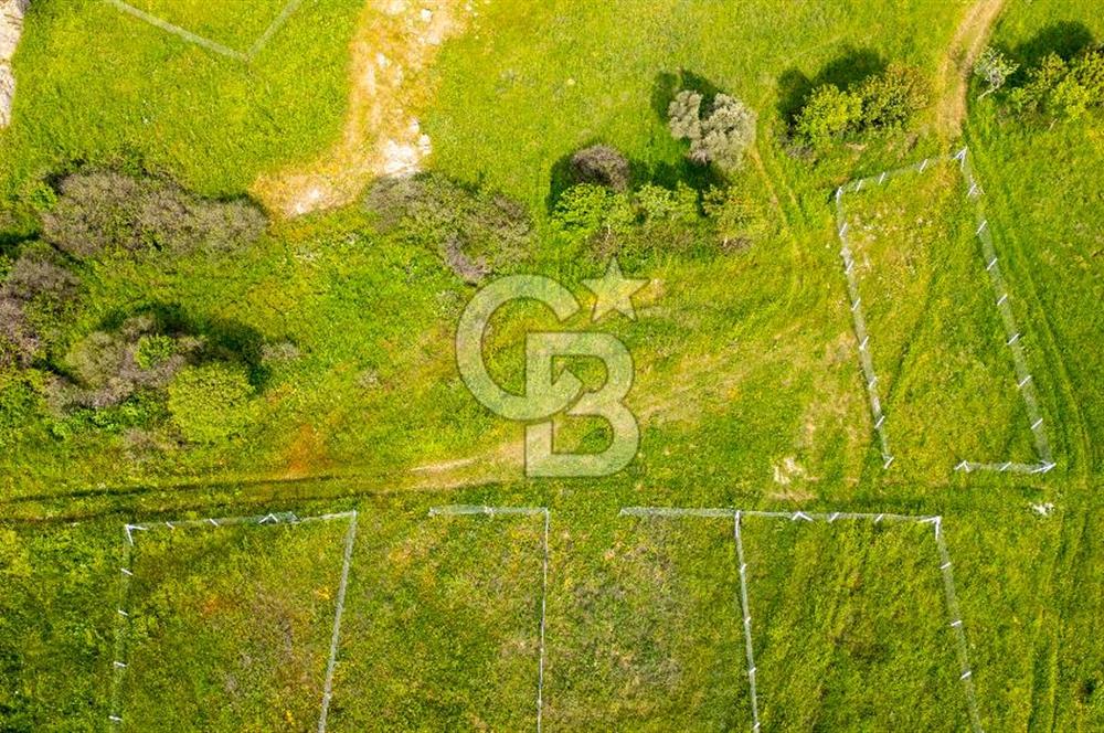 Foça Yenibağarası'nda Satılık 644 m2 Tarla