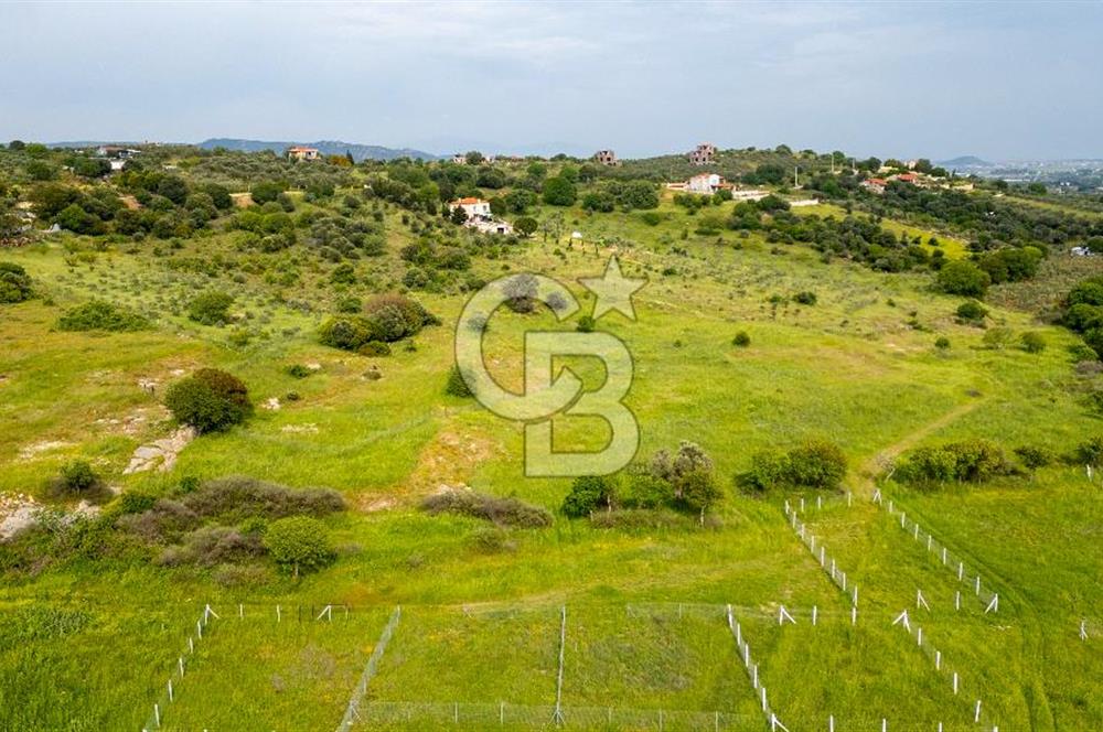 Foça Yenibağarası'nda Satılık 644 m2 Tarla