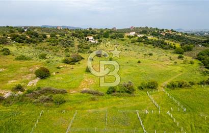 Foça Yenibağarası'nda Satılık 644 m2 Tarla