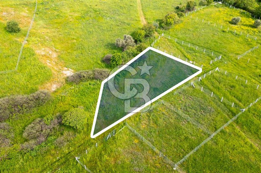 Foça Yenibağarası'nda Satılık 644 m2 Tarla