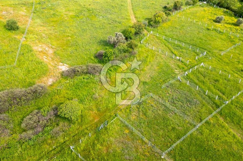 Foça Yenibağarası'nda Satılık 644 m2 Tarla