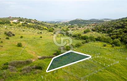 Foça Yenibağarası'nda Satılık 644 m2 Tarla