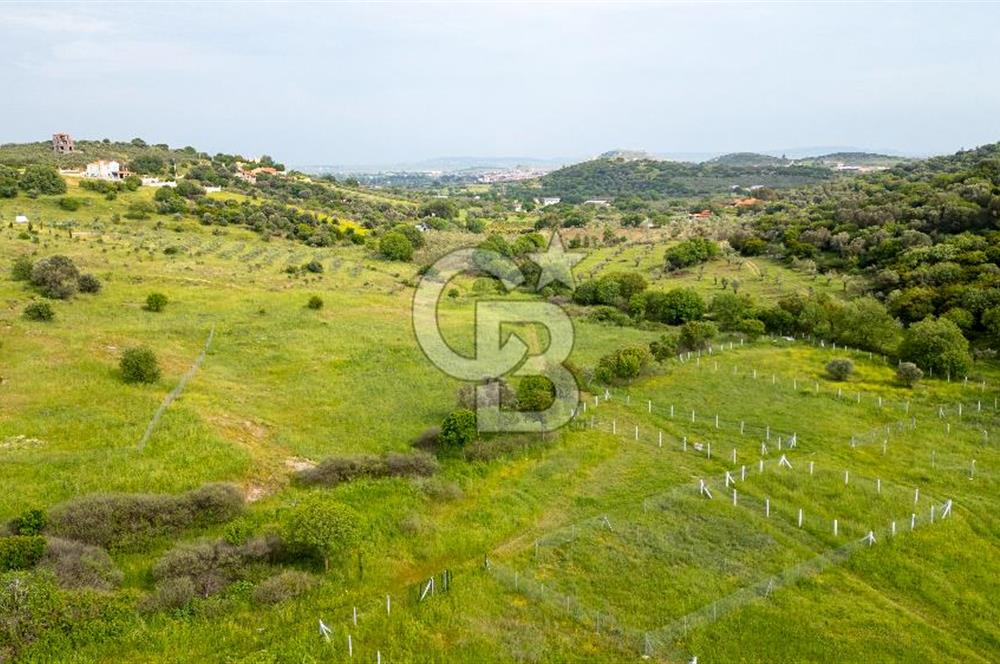 Foça Yenibağarası'nda Satılık 644 m2 Tarla