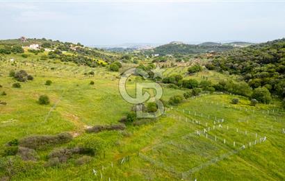Foça Yenibağarası'nda Satılık 644 m2 Tarla