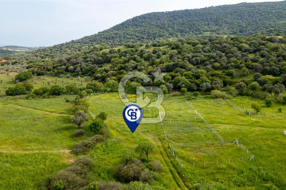 Foça Yenibağarası'nda Satılık 644 m2 Tarla