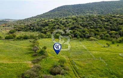 Foça Yenibağarası'nda Satılık 644 m2 Tarla