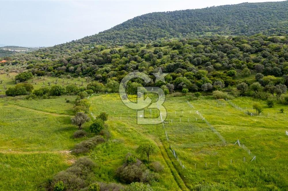 Foça Yenibağarası'nda Satılık 644 m2 Tarla