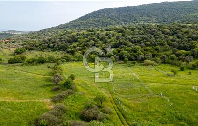 Foça Yenibağarası'nda Satılık 644 m2 Tarla
