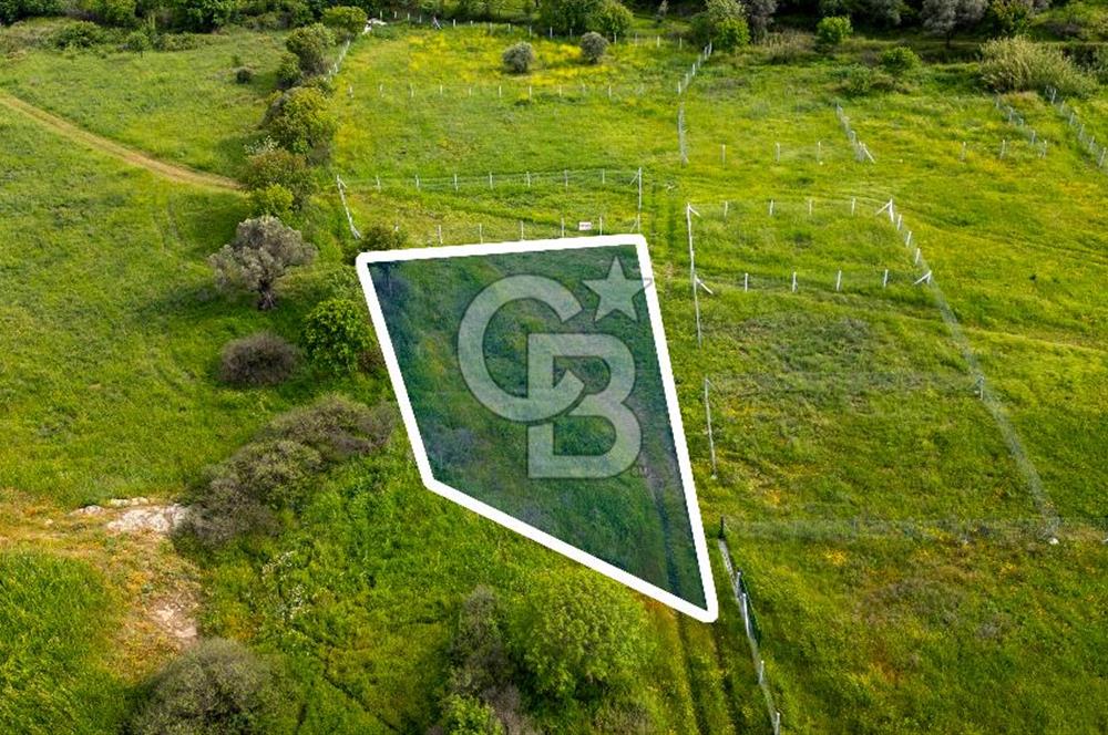 Foça Yenibağarası'nda Satılık 644 m2 Tarla