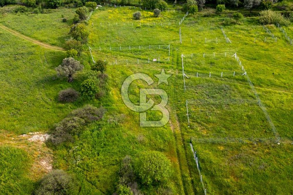 Foça Yenibağarası'nda Satılık 644 m2 Tarla