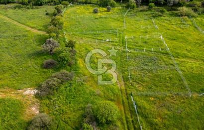 Foça Yenibağarası'nda Satılık 644 m2 Tarla