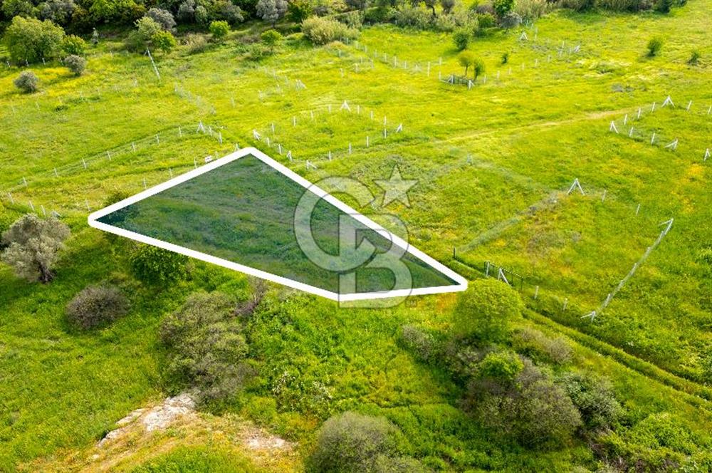 Foça Yenibağarası'nda Satılık 644 m2 Tarla