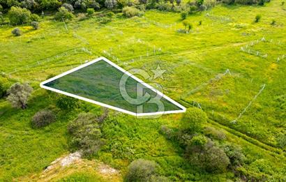 Foça Yenibağarası'nda Satılık 644 m2 Tarla