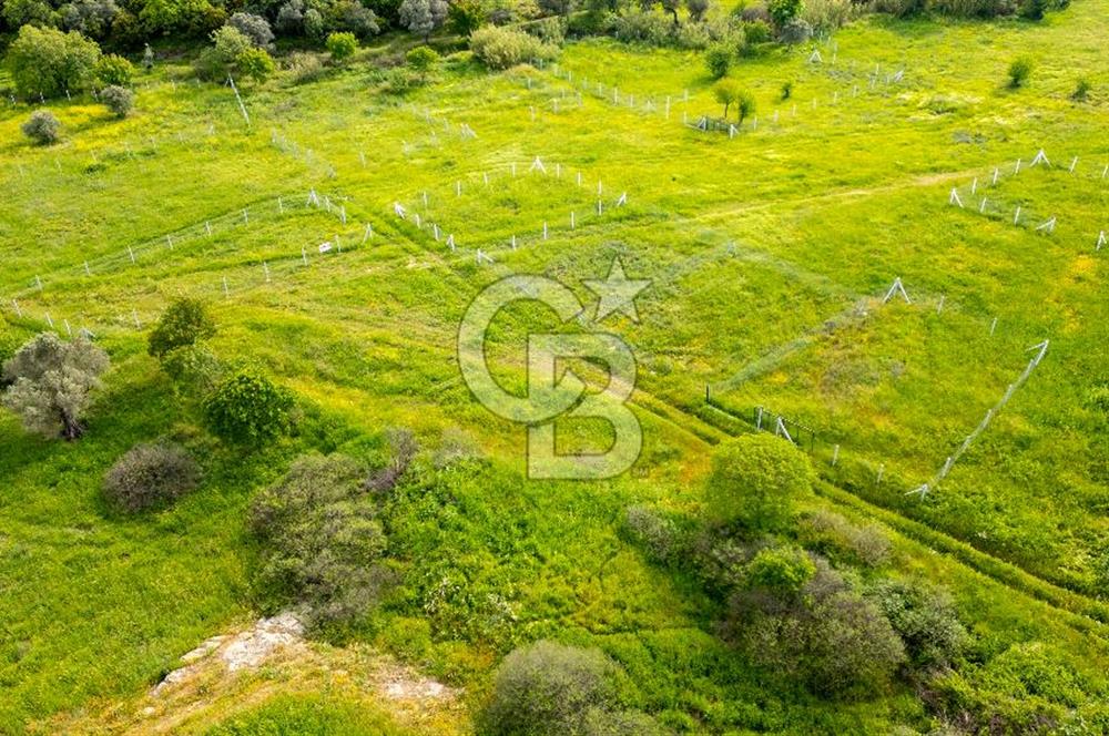 Foça Yenibağarası'nda Satılık 644 m2 Tarla