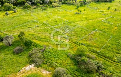 Foça Yenibağarası'nda Satılık 644 m2 Tarla