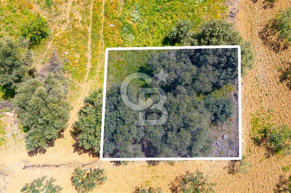 Foça Kocamehmetler'de Satılık 197 m2 Tarla