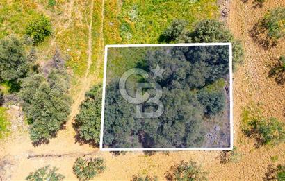 Foça Kocamehmetler'de Satılık 197 m2 Tarla