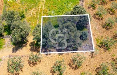 Foça Kocamehmetler'de Satılık 197 m2 Tarla