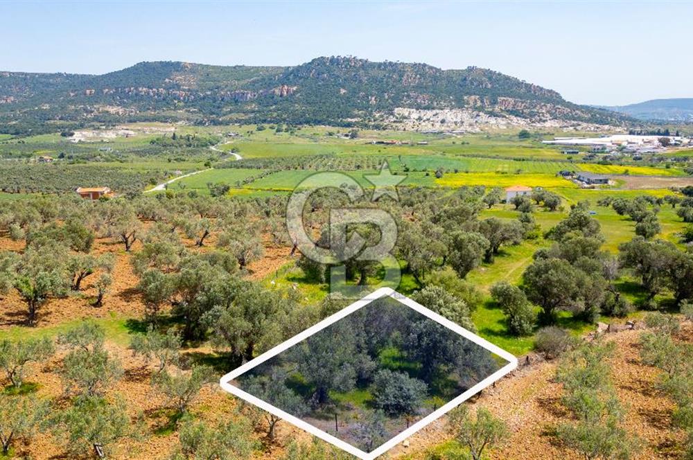 Foça Kocamehmetler'de Satılık 197 m2 Tarla
