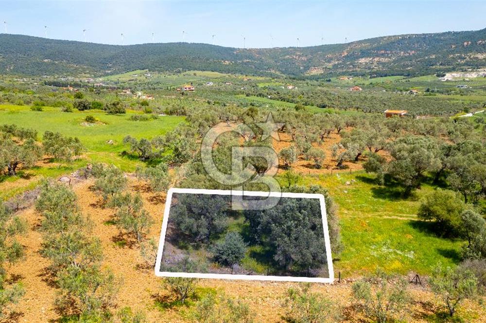 Foça Kocamehmetler'de Satılık 197 m2 Tarla