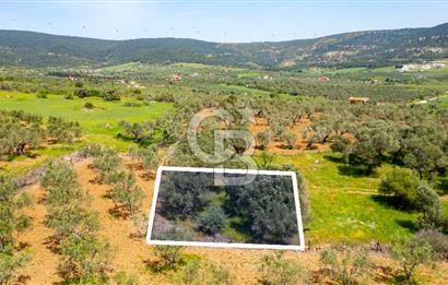 Foça Kocamehmetler'de Satılık 197 m2 Tarla