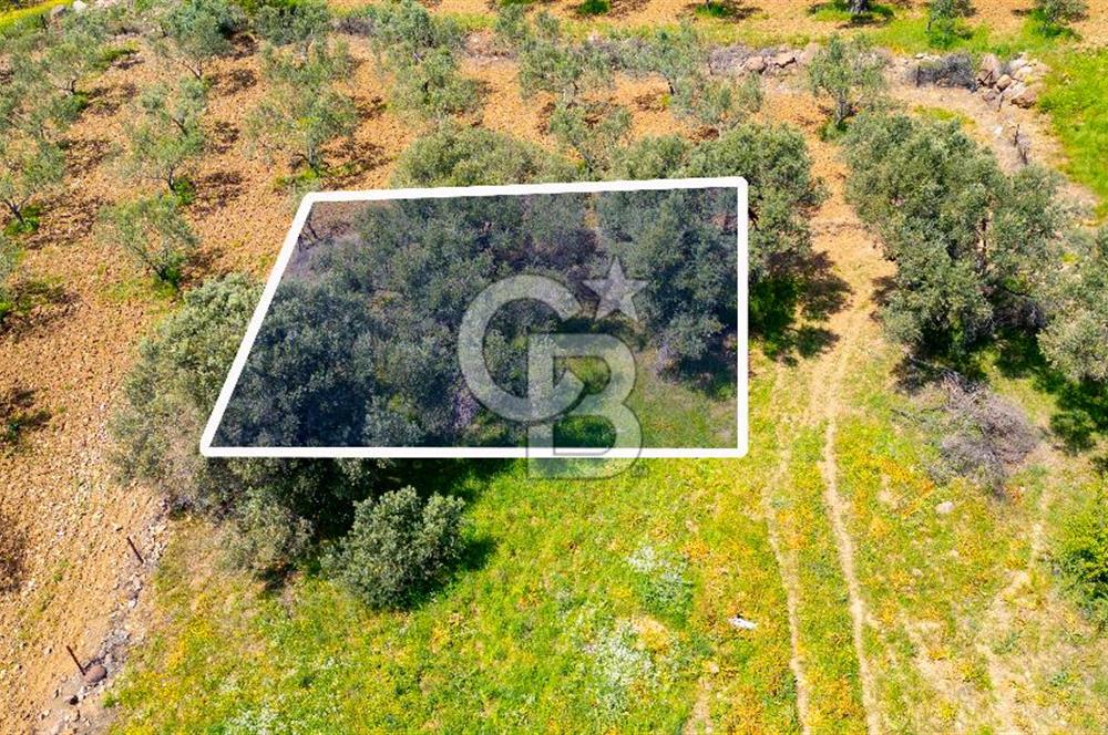 Foça Kocamehmetler'de Satılık 197 m2 Tarla