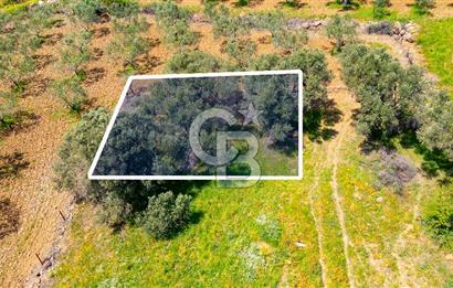 Foça Kocamehmetler'de Satılık 197 m2 Tarla