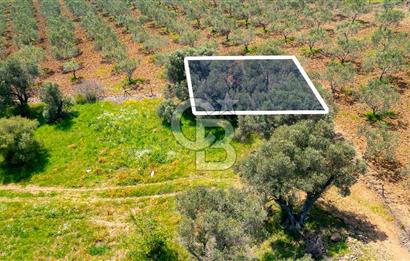 Foça Kocamehmetler'de Satılık 197 m2 Tarla