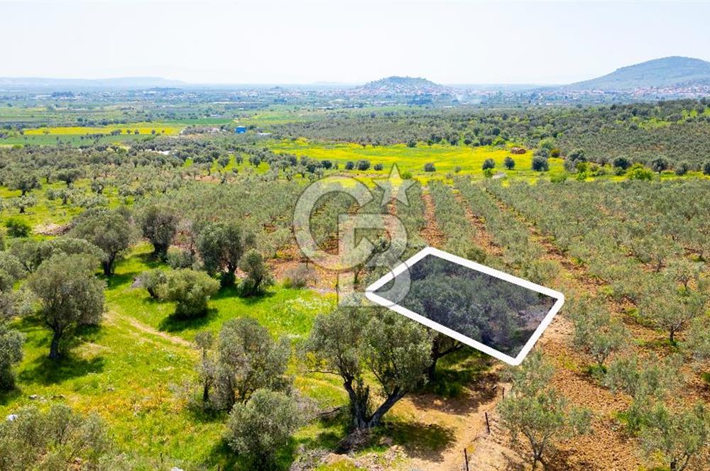 Foça Kocamehmetler'de Satılık 197 m2 Tarla
