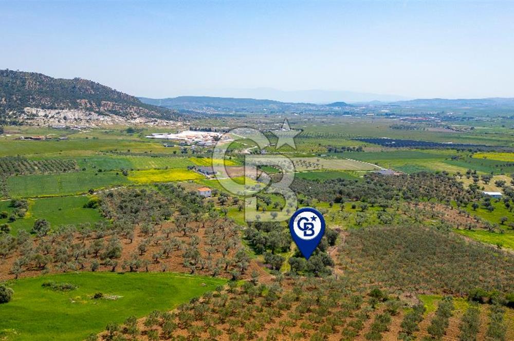 Foça Kocamehmetler'de Satılık 197 m2 Tarla