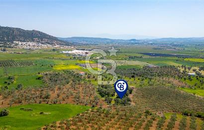 Foça Kocamehmetler'de Satılık 197 m2 Tarla