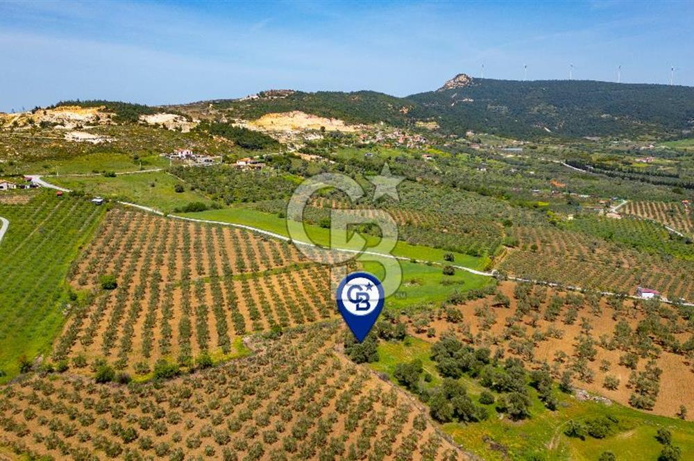 Foça Kocamehmetler'de Satılık 197 m2 Tarla