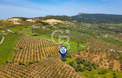 Foça Kocamehmetler'de Satılık 197 m2 Tarla