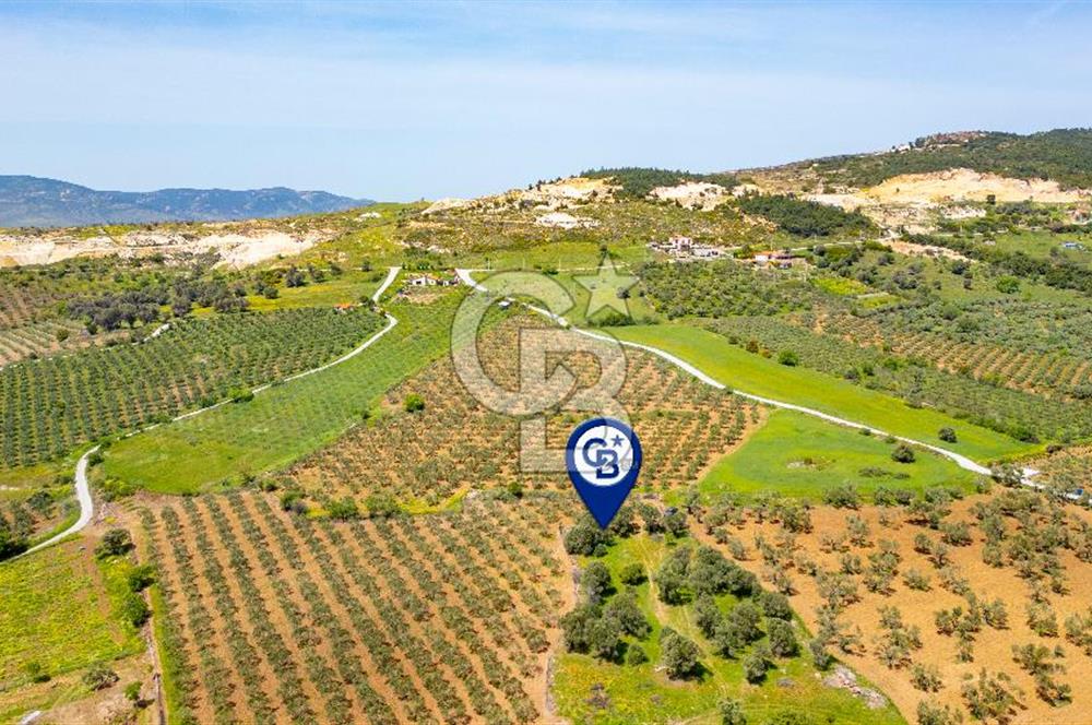 Foça Kocamehmetler'de Satılık 197 m2 Tarla